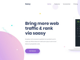 Saakly- Saas Landing UI  Template preview picture
