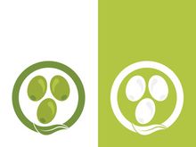 Extra virgin olive oil logo icon design vector illustration