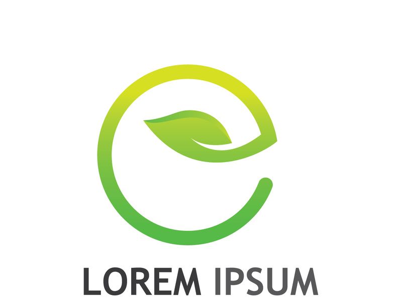 Natural green leaf logo.