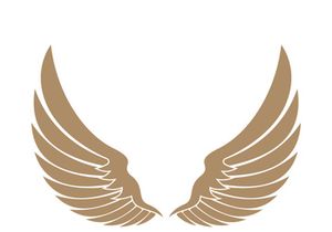 Wings logo