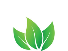 Logos of green tree leaf ecology nature element vector