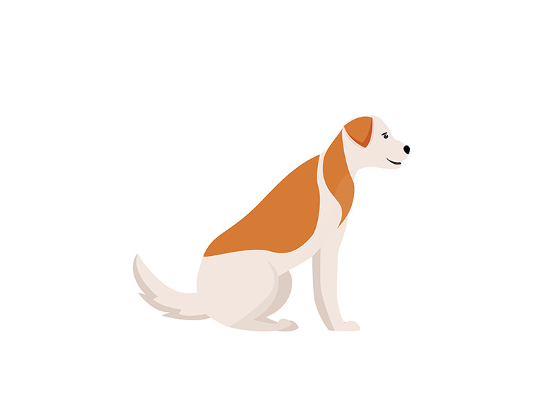 Dog with ginger spots flat color vector character