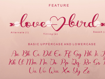 lovebird - Modern Script Font