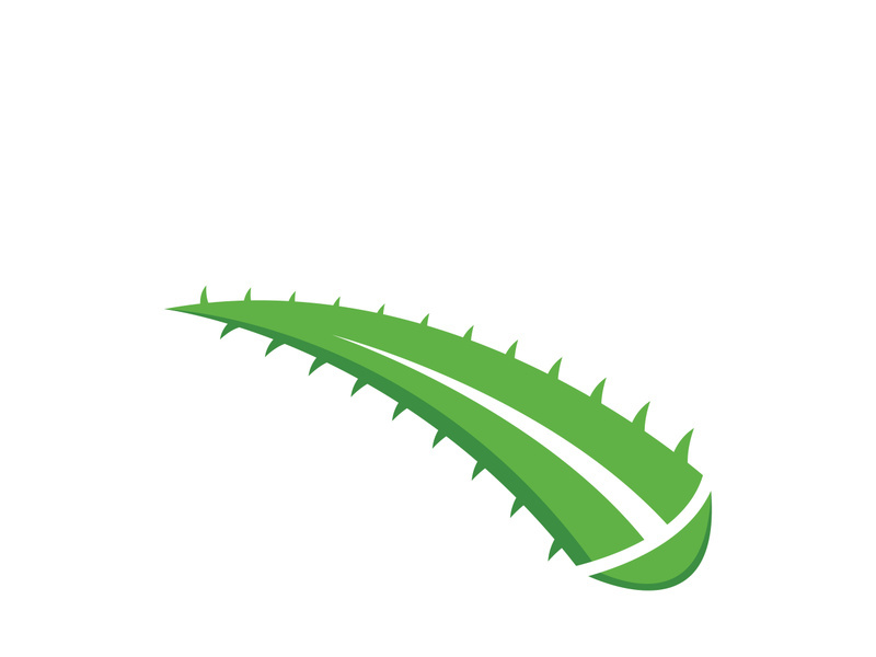 Aloe Vera logo icon design symbol beauty skin care