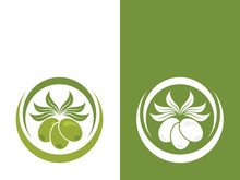 Extra virgin olive oil logo icon design vector illustration