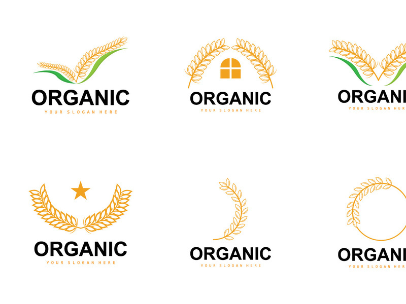 Wheat Rice Logo Vector Design