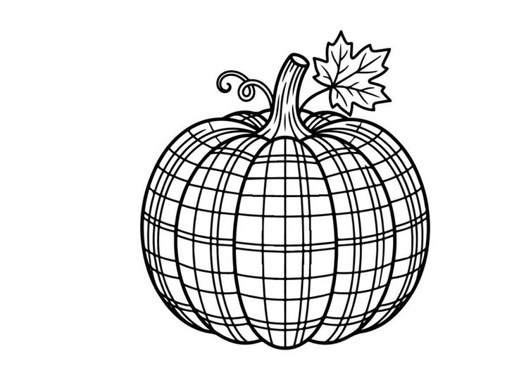 Plaid pumpkin line art illustration. Hand drawn autumn squash with checkered pattern.