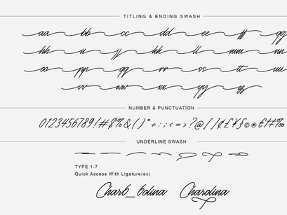 Monosign - Monoline Signature Font