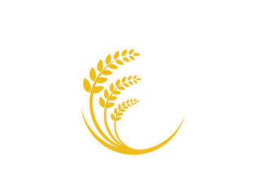 Agriculture wheat rice icon preview picture