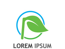 Natural green leaf logo design.