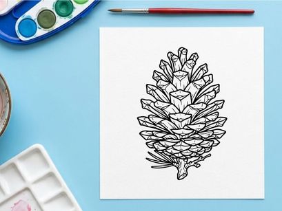 Close-up of a pine cone on white background. Natural botanical detail for nature and environmental themes.