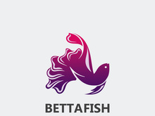 Betta fish modern logo style design vector image illustration