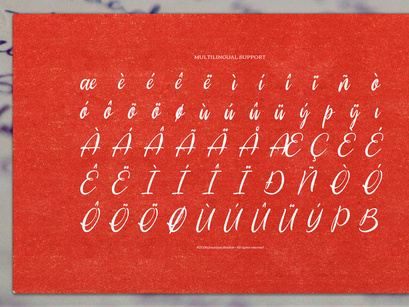 Marionette Ricocheta | Handwritten Script
