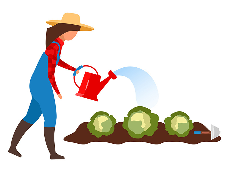 Female farmer watering crops flat vector illustration