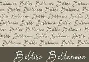 Bellina - Handwritten Font