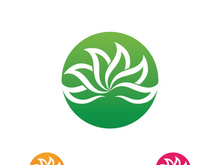 Beauty Vector lotus flowers design logo Template icon