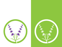 Fresh lavender flower logo vector flat design