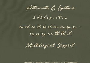 Challing - Romantic Calligraphy Font