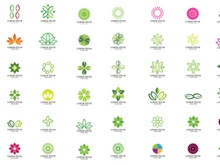 Flower decoration ornament leaf logo vector