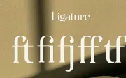 Qualifies - Serif Font