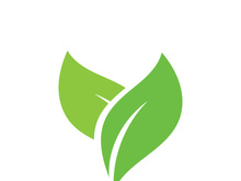 leaf logo green ecology nature element vector image