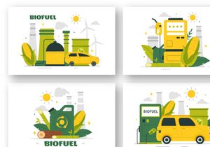 9 Biofuel Life Cycle Illustration