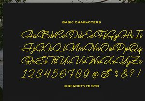Cauloid | Monoline Script