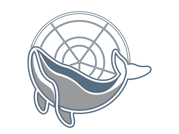 Whale logo