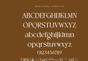 WishShore ||Vintage display font