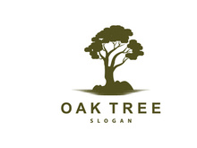 Oak Tree Logo, Nature Tree Plant Vector, Minimalist Simple Design