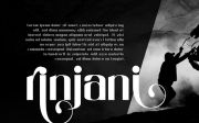 The Prada – Modern Stylish Sans Serif Font