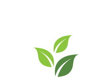 Green leaf ecology nature element vector icon