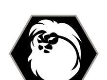 Lion logo