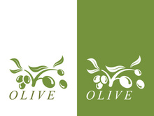 Extra virgin olive oil logo icon design vector illustration