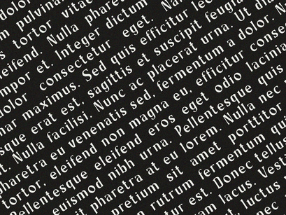 Boniface - Display Serif Font