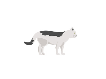 White striped cat flat color vector character preview picture