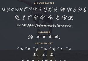 Azingdar - Retro Bold Script Font