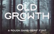 Free Fonts To Create Stunning Designs