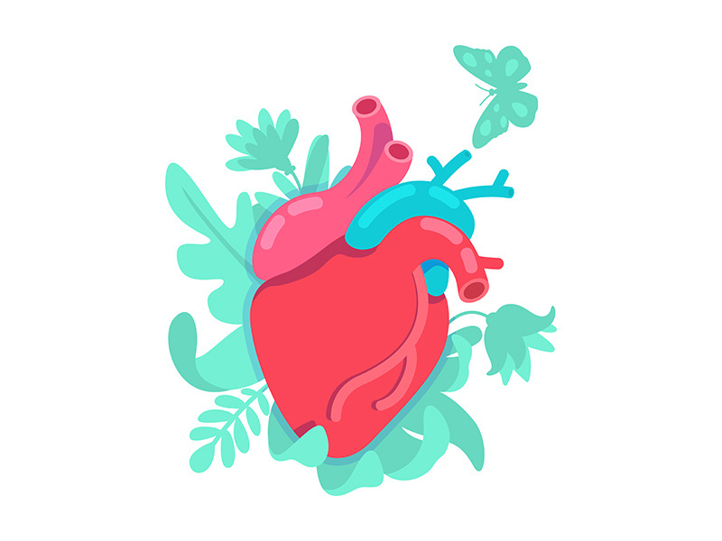 Anatomical heart flat concept vector illustration
