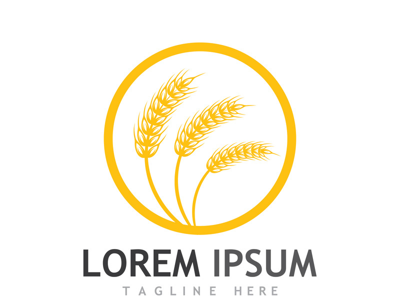 Organic wheat farm logo template.