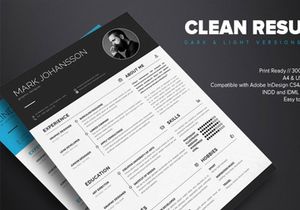 Clean Resume Template