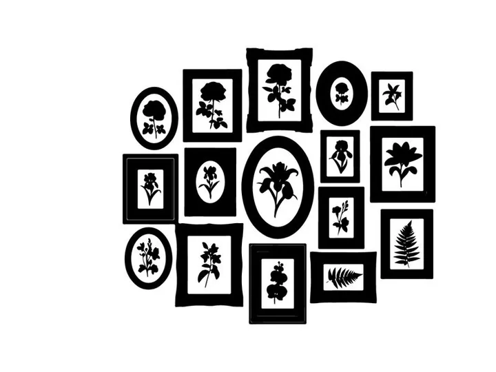 Silhouette of various framed floral and leaf designs