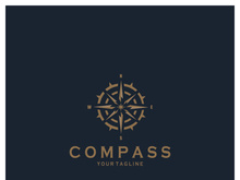 compass icon isolated on background.modern flat compass pictogram,business,marketing,internet concept.trendy simple vector symbol for websitedesign or button to mobile app.logo illustration.
