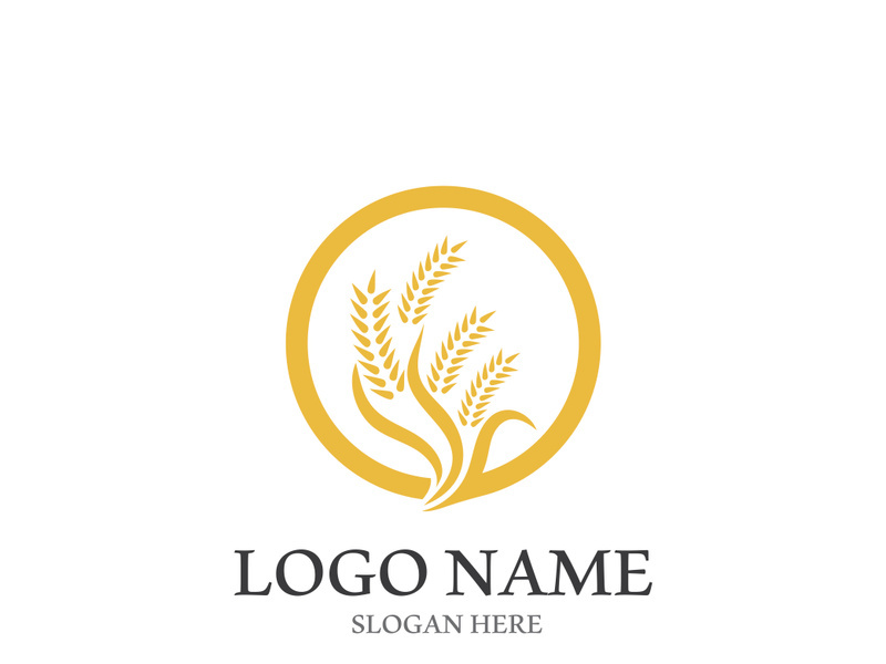 Wheat logo vector icon illustration design