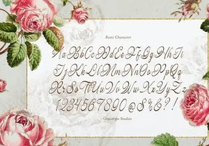 Hauliot Roisy | Handwritten Romantic Font