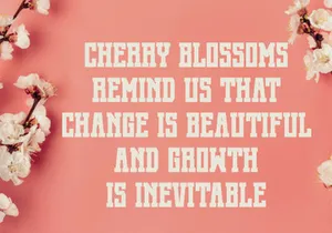 Cherry Blossom - Modern Slab Serif