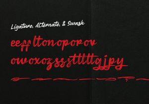 Losien Avenue | Brush Handwritten