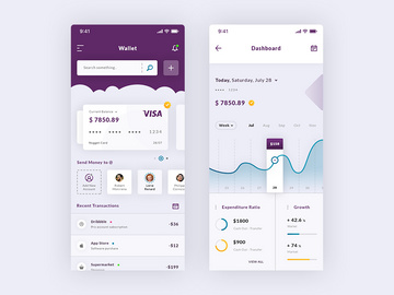 Wallet & Dashboard IOS App preview picture