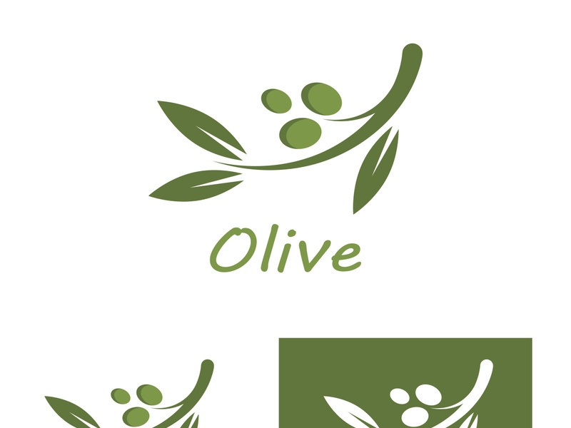 Branched olive fruit logo with creative idea.