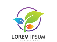 Natural green leaf logo design.